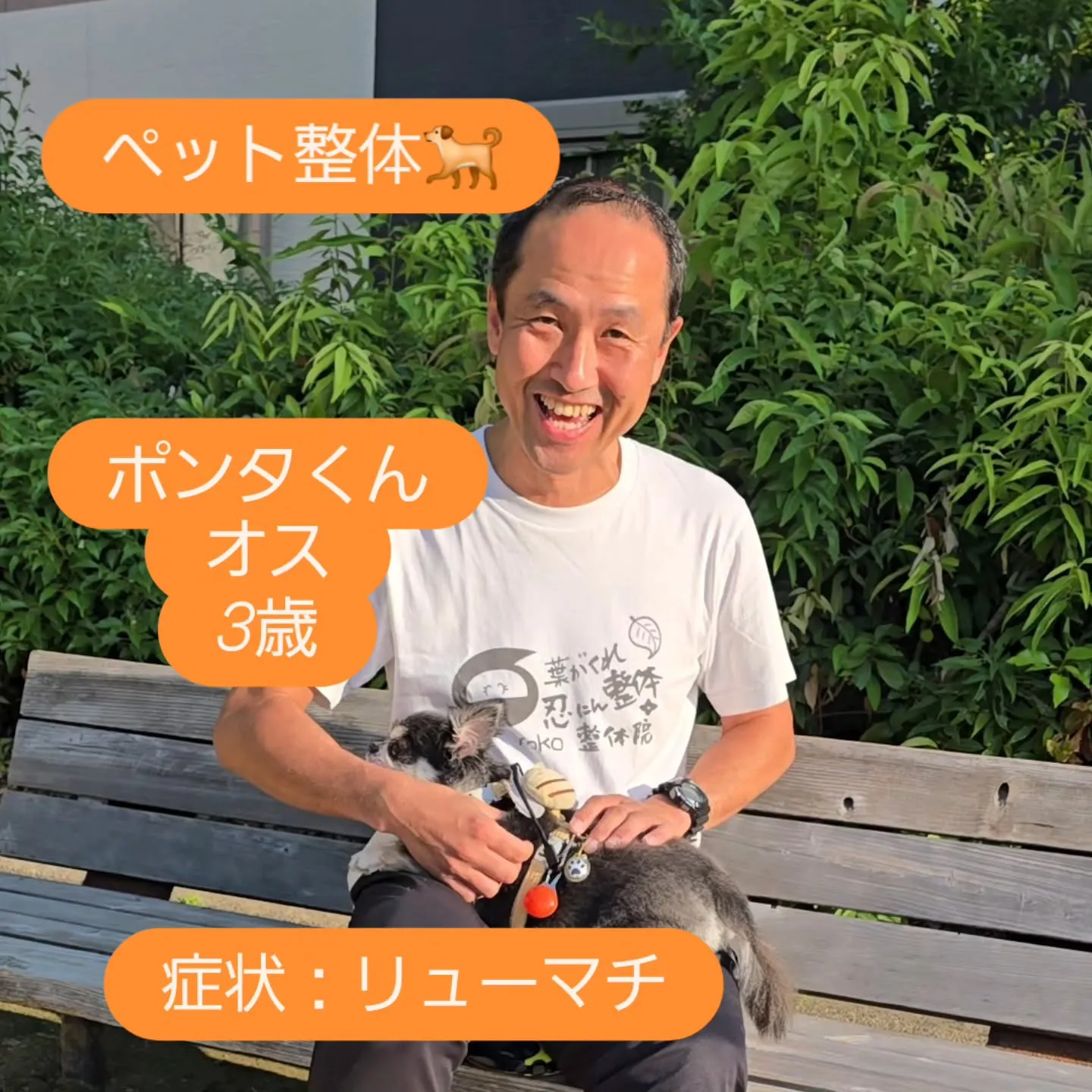 ペット整体～🎵