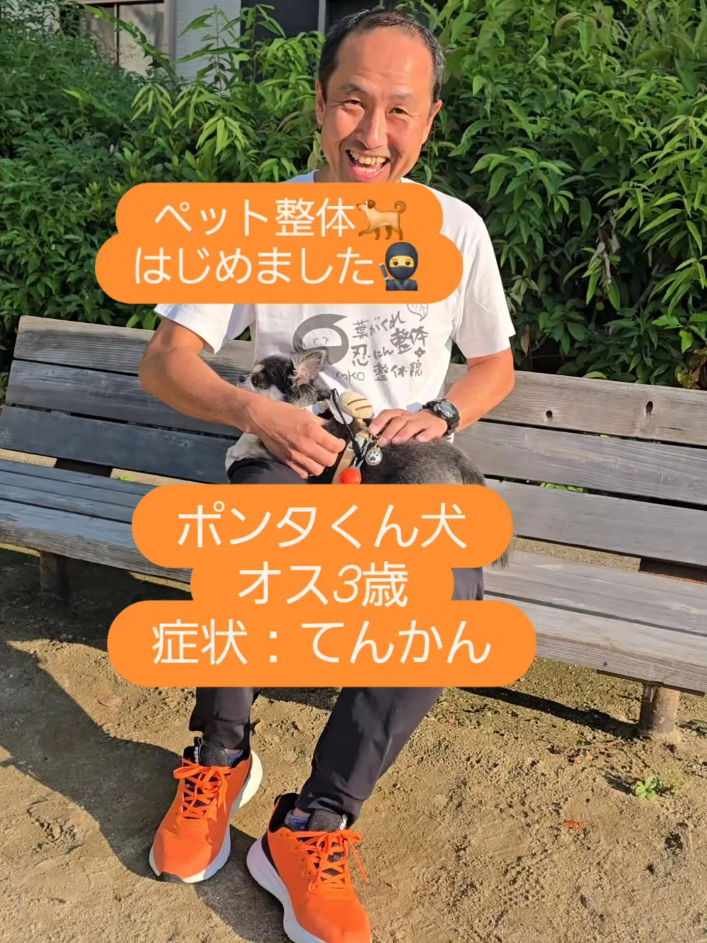 ペット整体🐕️