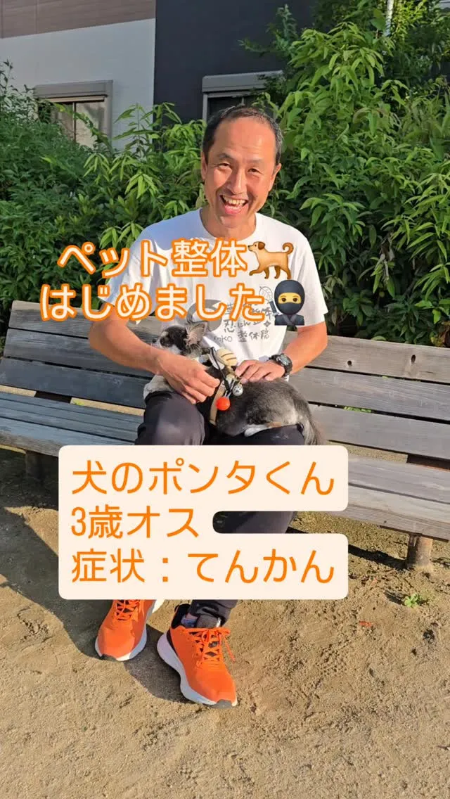 ペット整体🐕️